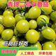 山東青甜2號綠色小番茄脆甜多汁青口蜜千禧果圣女果現(xiàn)摘現(xiàn)發(fā)新鮮 3斤 精選裝【京東快遞】