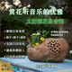 品竹戶外防水太陽能藍牙音箱仿真石頭草坪音箱創(chuàng)意無線可移動插卡庭院音響室外花園露臺背景音樂播放器 花盆單臺插卡版