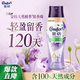 金紡【洗衣搭檔】洗衣留香珠薰衣草+香紫蘇450G120天留香除菌除螨除臭