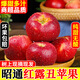 云南昭通紅露蘋(píng)果10斤應季新鮮水果脆甜紅富士冰糖心丑櫻桃小蘋(píng)果 5斤小果【單果50-60mm】