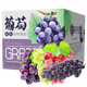 俏鮮莎有機(jī)葡萄夏黑巨峰醉金香玫瑰香生鮮提子紅提混合新鮮水果4斤6禮盒 巨峰  凈重4斤禮盒裝