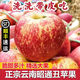 丑蘋果云南昭通冰糖心丑蘋果新鮮現(xiàn)摘10斤大果當(dāng)季非大涼山紅露蘋 凈重9-10斤中果【70-75mm】