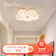 ShareDon手繪花過道燈玄關(guān)燈走廊衣帽間陽臺(tái)吸頂燈全光譜護(hù)眼網(wǎng)紅藝術(shù)設(shè)計(jì) 中號(hào)42.5CM-三色變光