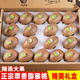 陜西周至翠香獼猴桃30個(gè)綠心奇異果甜蜜多汁生鮮新鮮水果中秋禮盒 15枚【單果50-60g】小果試吃
