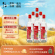 牛欄山二鍋頭 國標(biāo)優(yōu)級純糧酒 清香型 白酒 53度 500ml*6瓶 整箱裝