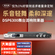 麥樂(lè )迪DSP6300卡拉ok混響器 數字音頻前級效果器 家庭影院防嘯叫調音臺處理器含話(huà)筒 調音臺均衡器 DSP6300藍牙升級版(含線(xiàn)) 標準版
