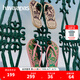 havaianas哈唯納SlimTucano植物印花人字拖度假外穿平底夾腳拖鞋 1749-檸檬汁粉色 35-36