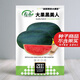 壽禾 西瓜種子多品種美都無(wú)籽早熟晚熟甜王巨型特大秋季四季 大果黑美人西瓜種子 20粒原裝
