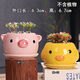 貴秘書(shū)多肉花盆陶瓷清倉簡(jiǎn)約大號特價(jià)家用卡通盆肉肉創(chuàng  )意粗陶小花盆室內 HR04-05兩件套