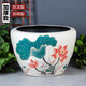 晟煦新款庭院大缸景德鎮陶瓷水缸金魚(yú)缸荷花碗蓮睡蓮盆烏龜缸酒店擺件 圓口白泥點(diǎn)紅荷花 73x73x52cm 特大號直徑73cm高52c