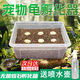 智宙爬寵種龜?shù)胺趸鳠o菌蛭石守宮蛇蛋蜥蜴孵化盒保濕透氣烏龜孵化箱 S碼孵化器1套 適合6個蛋