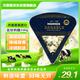 貝斯隆丹麥進(jìn)口 瑪門(mén)藍(lán)紋奶酪臭芝士 100g 原制高鈣涂抹小三角即食