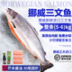 鮮承 挪威進(jìn)口冰鮮三文魚(yú)整條刺身（大西洋鮭）可生吃健康輕食 刺身 冰鮮刺身整條 5kg -6kg 分切請留言