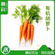 精科優(yōu)鮮精科有機(jī)胡蘿卜蔬菜新鮮無農(nóng)殘健康營(yíng)養(yǎng)現(xiàn)摘現(xiàn)發(fā)脆甜蘿卜有機(jī)種植 3斤