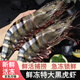 黑虎蝦鮮活超大老虎蝦速凍特大對蝦基圍蝦鮮蝦海蝦無(wú)冰竹斑九節蝦 新貨1斤*2盒【18-21cm】10只/盒