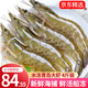 鮮拔頭籌 青島大蝦4斤裝 國產(chǎn)青蝦海捕鮮蝦海蝦基圍蝦鮮活冷凍 14-17cm 3.3- 4斤(凈重)