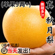 山姆大叔 山東萊陽(yáng)冰糖秋月梨禮盒裝新鮮脆甜梨子雪梨孕婦水果中秋禮盒 500g+超級(jí)果王｜9斤【鎮(zhèn)店之寶】?jī)?.5斤 12S級(jí)｜至尊高端禮盒【送禮超有面】