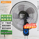 奧克斯(AUX)壁扇/大風量風扇/電風扇/工業(yè)家用交流定頻壁掛式風扇/工程大風量風扇FW-35-C1403