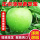 順豐青蘋(píng)果山西果園澳洲引進(jìn)品種新鮮水果孕婦高酸應季低糖榨汁 4.5斤 泡沫托順豐快遞