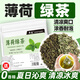 早元薄荷綠茶薄荷葉花茶包獨立包裝袋泡茶冷泡茶考研上課犯困泡水喝的 冰涼舒爽*[50包]薄荷綠茶