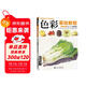 經(jīng)典全集《色彩基礎教程》水粉畫(huà)臨摹零基礎入門(mén)書(shū)籍單個(gè)體匯靜物調中國美院教你畫(huà)高藝校聯(lián)考臨摹范本材