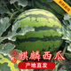 云南產(chǎn)地國(guó)產(chǎn)西瓜水果新鮮總凈重6-7斤爆甜多汁沙瓤薄皮應(yīng)季水果 總凈重6-7斤1個(gè)裝