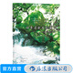 四季清新水彩課1 水彩書
