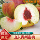 桃西村山東青州蜜桃【順豐速發(fā)】離核冬雪蜜桃脆甜水密桃毛桃新鮮水果 凈重 9斤中大果【約15-20個(gè)】