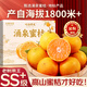 愛(ài)鮮摘農場(chǎng) 臨海涌泉蜜桔【EMS冷鏈-多地隔日達】蜜桔橘子水果禮盒中秋送禮 7A級｜果周50-60mm【狠甜】 精選果丨5斤裝【超值推薦】?jì)?.5