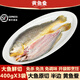 出海人【3袋/5袋】新品黃魚(yú)鲞魚(yú)排寧德霞浦黃魚(yú)鲞黃花魚(yú)新鮮冷凍大黃魚(yú) 1200g(400gX3袋) 黃魚(yú)鲞-魚(yú)排（免調味）