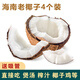 兮柔海南老椰子 毛椰子椰皇 4個(gè)裝 椰肉厚煲雞湯榨汁孕婦椰子生鮮水果
