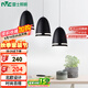 雷士（NVC）現(xiàn)代簡約圓形餐廳燈北歐臥室吧臺(tái)創(chuàng)意大氣極光3頭現(xiàn)代簡約餐廳燈