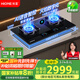 火王（Hione）【家電國家補貼】語音燃氣灶天然氣家用智能觸控磨砂面板易清潔灶具定時煤氣灶雙灶M2/2302插電款