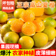 甜果源 湖北三峽夏橙 秭歸手剝橙子新鮮橙子高山甜橙時令當(dāng)季生鮮水果 5斤精選【單果65-70mm】凈4.5斤