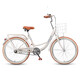 飛鴿（FLYING PIGEON）城市自行車(chē)24英寸低跨度車(chē)架男女成人學(xué)生兒童城市休閑通勤單車(chē)