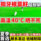 綠沁景觀(guān)狗牙根草籽脫殼凈籽夏季耐熱耐旱護坡固土矮化免修剪綠化草皮種子 狗牙根包衣1斤【耐熱耐踏】