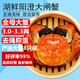 【活蟹】湖鮮陽澄 大閘蟹 去繩足重 全母3.0-3.3兩 8只 鮮活中秋節(jié)超大螃蟹海鮮禮盒裝