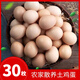 筱諾農場(chǎng)現撿柴雞蛋新鮮土雞蛋 農家笨雞蛋柴雞蛋草雞蛋 30枚土雞蛋
