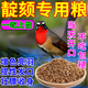 靛頦鳥(niǎo)食靛頦鳥(niǎo)食專(zhuān)用飼料靛頦開(kāi)口飼料提性大唱壯膘專(zhuān)用混合鳥(niǎo)糧 1袋裝【500g】