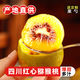 四川紅心獼猴桃新鮮應當季時(shí)令水果孕婦奇異果禮盒彌迷糊桃整箱 新鮮采摘中果【70-90G】 30枚