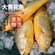 正宗深海黃花魚(yú)新鮮海魚(yú)活魚(yú)鎖鮮速凍真空包裝大黃魚(yú) 四條裝250-300g/條