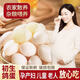 百味殿新鮮土鴿子蛋雜糧喂養(yǎng)農(nóng)家特產(chǎn)白鴿蛋信鴿蛋孕婦寶寶禮盒裝 【家庭裝】30枚450g 初生鮮鴿蛋
