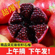 河南河陰軟籽石榴新鮮水果特大果整箱石榴無(wú)籽時(shí)令應季包郵 帶箱9.0-9.5斤特大果【果王級】 普通快遞