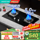 華帝（VATTI）燃氣灶雙灶天然氣家用臺式嵌入式4.5kW鋼化玻璃灶具i10039B臺嵌兩用式一級能效液化氣煤氣灶灶臺 【5.0/4.5kW】換裝免改孔|聚能猛火 59B 天然氣