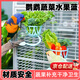 MDUG鸚鵡水果掛架蔬菜喂食器鳥(niǎo)蔬菜夾子水果叉小鳥(niǎo)用蔬菜籃子掛式食盒 水果蔬菜架