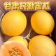 民勤沙漠蜜瓜冰淇淋現(xiàn)摘 正宗新鮮水果當(dāng)季水果香瓜冰淇淋 9斤(凈重8-9斤)2-4個(gè) 精品裝