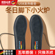WCZ德國USB充電鞋墊發(fā)熱保暖鞋墊非電加熱鞋墊冬季電暖 可行走男女 調溫版35-36碼(調溫線(xiàn)+鞋墊) 長(cháng)度23cm