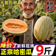 正宗哈密瓜西州蜜甜瓜當季新鮮水果疆現摘網(wǎng)紋冰淇淋甜蜜瓜包郵 9-10斤【3-5個(gè)果】壞果包賠