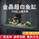 邊勝定制超白魚(yú)缸金晶五線(xiàn)玻璃客廳生態(tài)魚(yú)缸水草缸溪流缸金晶玻璃缸 5mm超白水草缸40X23X25cm+魚(yú)缸墊 超白裸缸