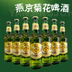 燕京啤酒菊花啤酒300ml裝玻璃瓶包裝燕京啤酒黃啤酒 300*【泡沫箱】 12瓶
